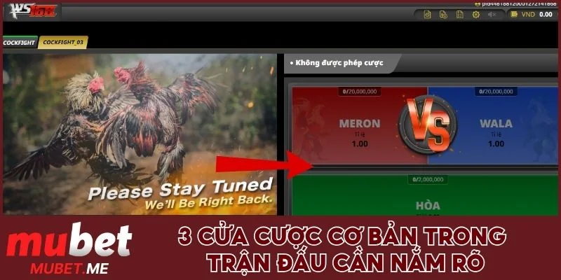 3 cửa cược cơ bản trong trận đấu cần nắm rõ