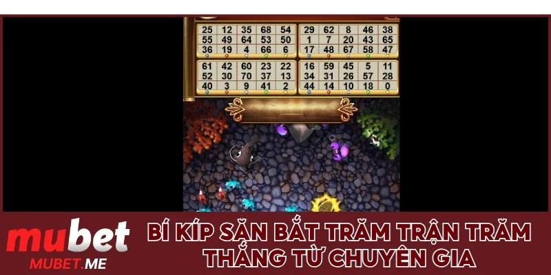 Bí kíp săn bắt trăm trận trăm thắng từ chuyên gia
