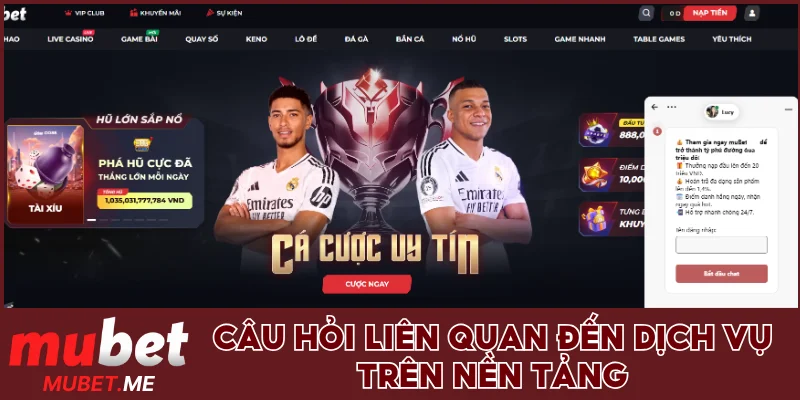 Câu hỏi liên quan đến dịch vụ trên nền tảng