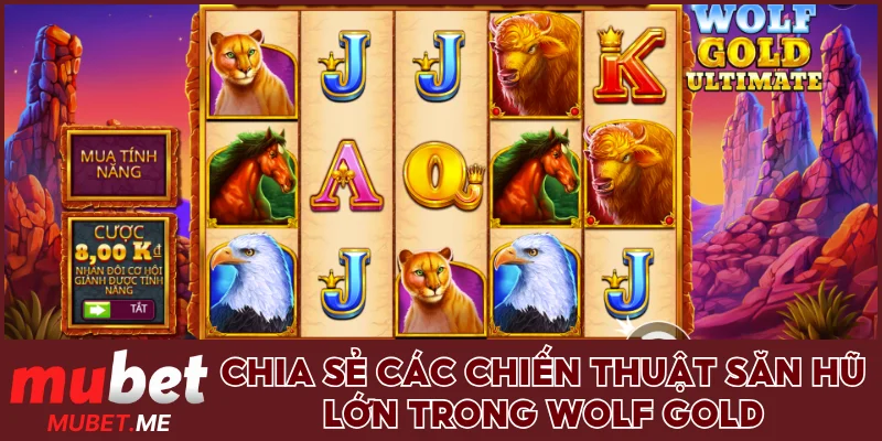 Chia sẻ các chiến thuật săn hũ lớn trong Wolf Gold