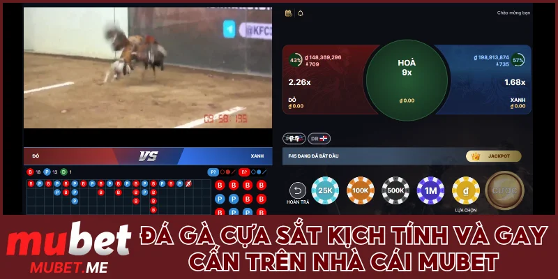 Đá gà cựa sắt