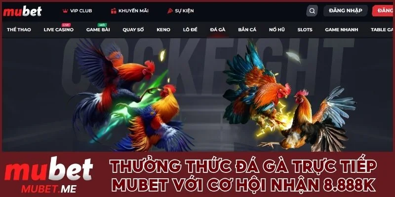 Đá gà trực tiếp