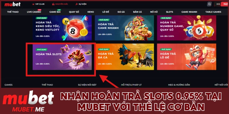 Hoàn trả slots