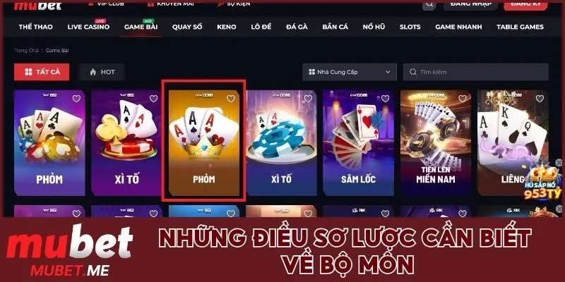 Những điều sơ lược cần biết về bộ môn 
