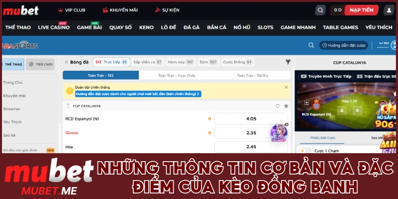Những thông tin cơ bản và đặc điểm của kèo đồng banh