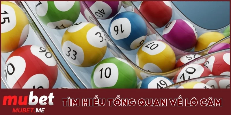 Tìm hiểu tổng quan về lô câm
